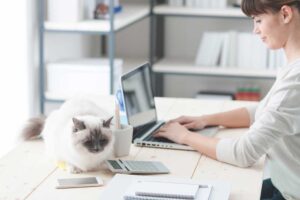 Swann Business & Taxation, JobKeeper for Employers and Employees